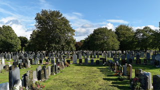 The US Probably Had Its Third Straight Year of Lowered Life Expectancy in 2017<em></em>